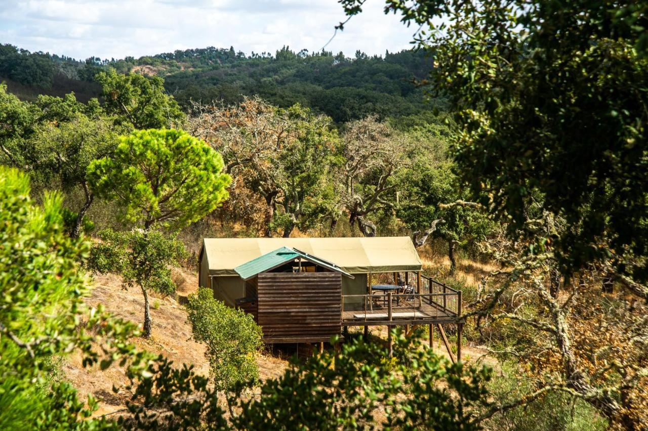 Penzion Figueirinha Ecoturismo Monte da Estrada Exteriér fotografie