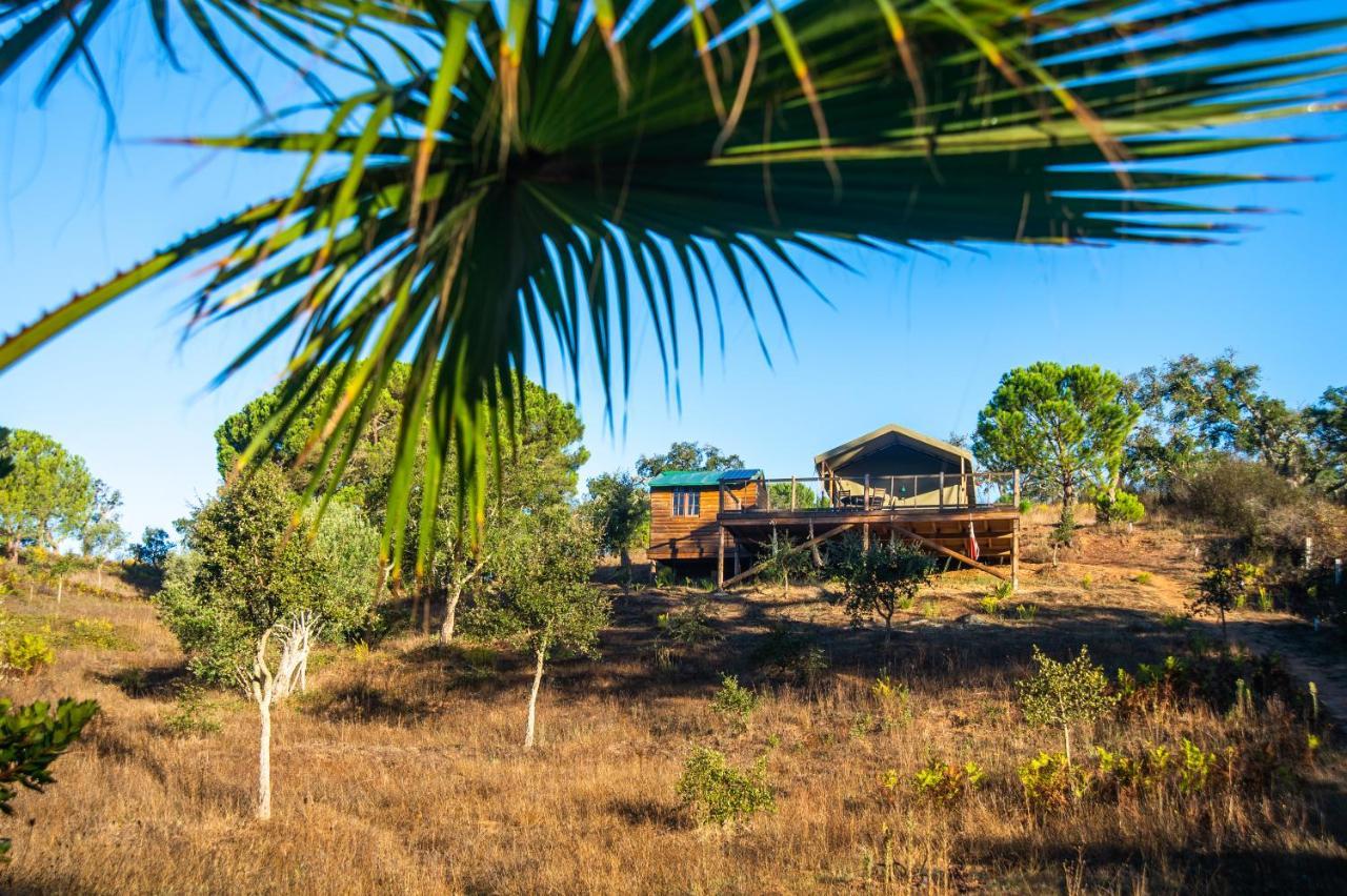 Penzion Figueirinha Ecoturismo Monte da Estrada Exteriér fotografie