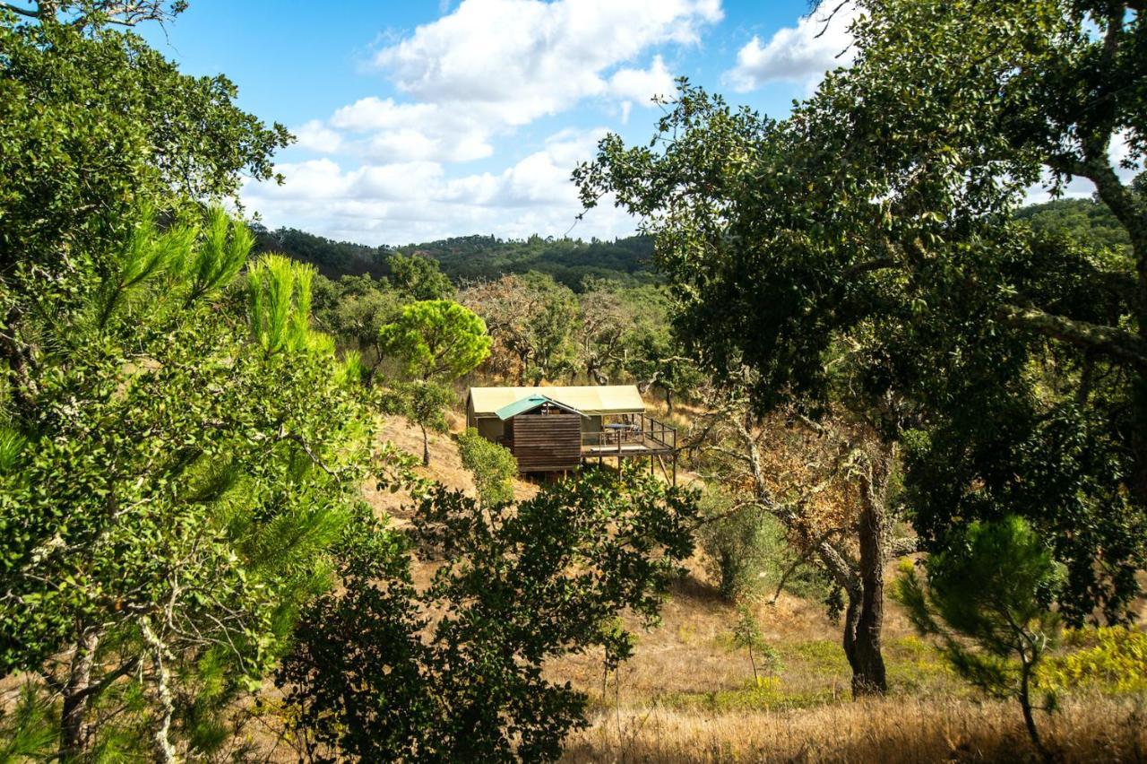 Penzion Figueirinha Ecoturismo Monte da Estrada Exteriér fotografie