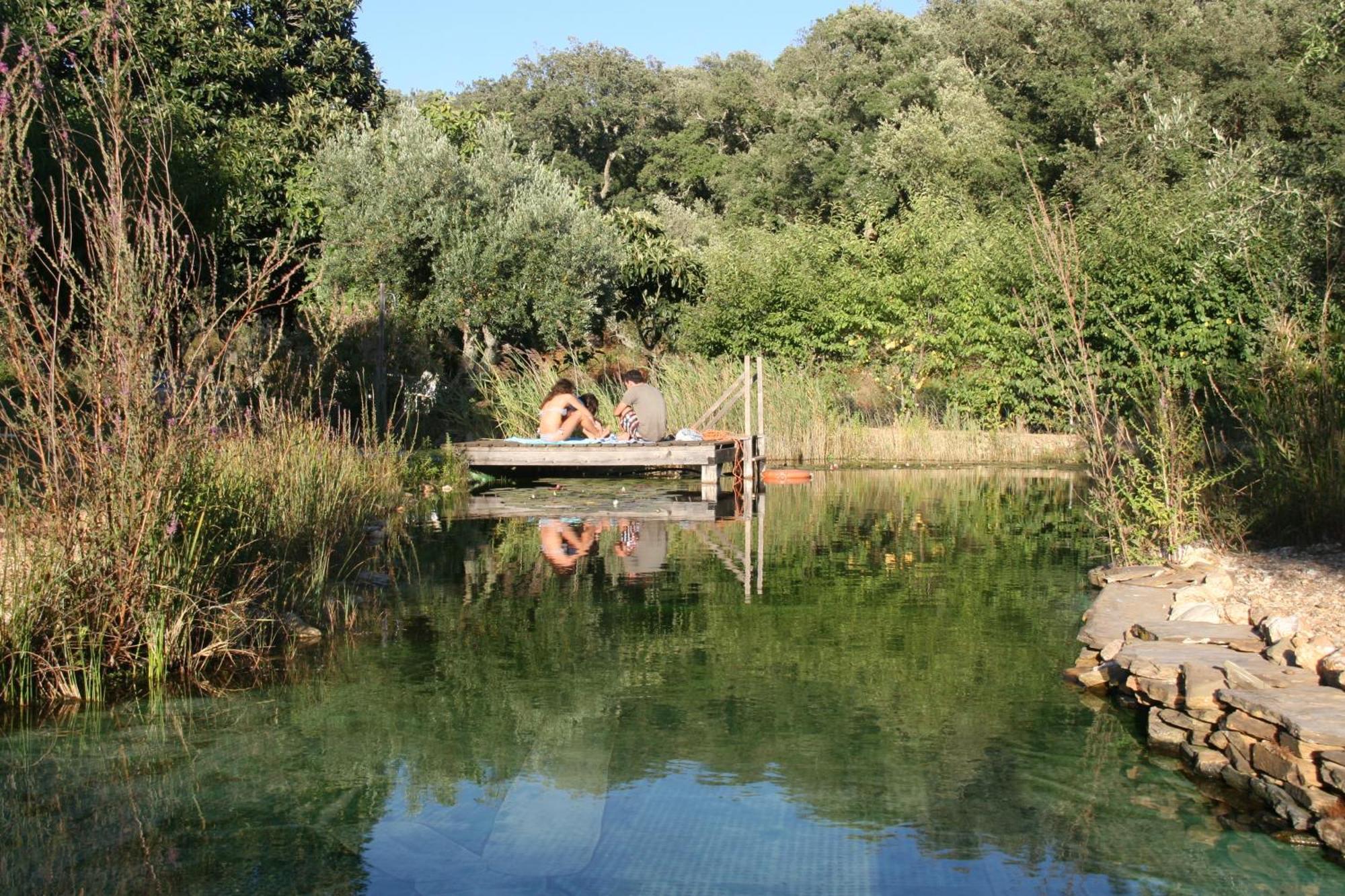 Penzion Figueirinha Ecoturismo Monte da Estrada Exteriér fotografie