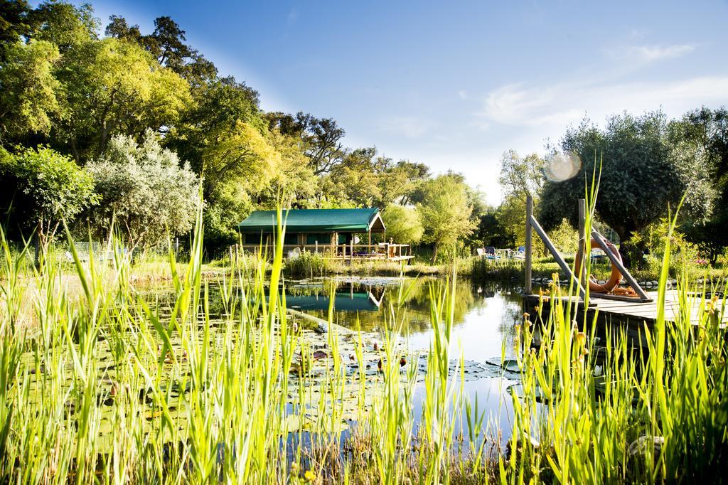 Penzion Figueirinha Ecoturismo Monte da Estrada Exteriér fotografie